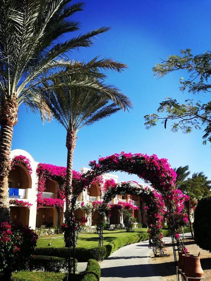 Hotel Tui Magic Life Kalawy Hurghada Esterno foto